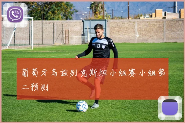葡萄牙乌兹别克斯坦小组赛小组第二预测